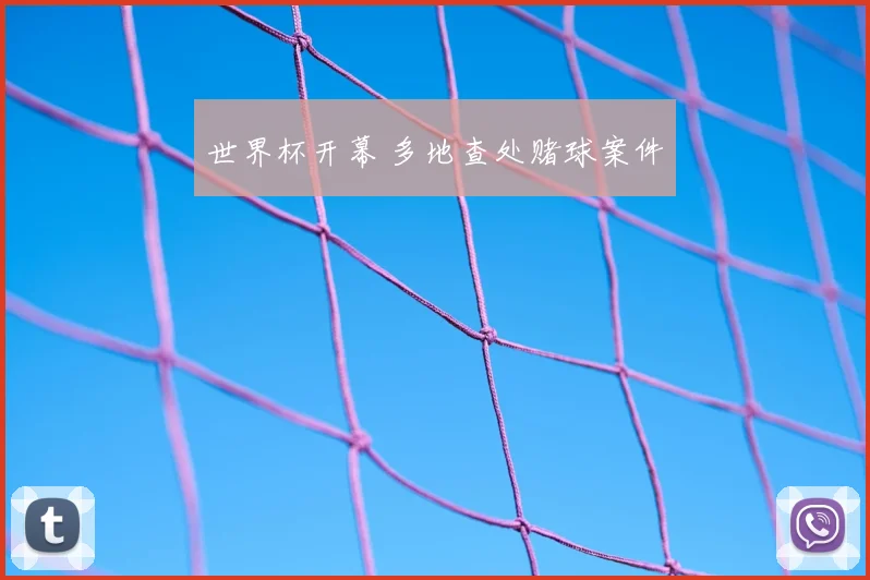 世界杯开幕 多地查处赌球案件