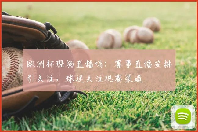 欧洲杯现场直播吗：赛事直播安排引关注，球迷关注观赛渠道