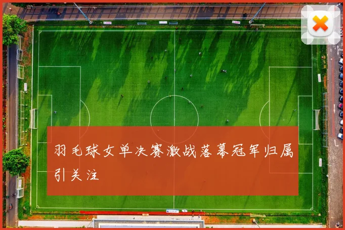 羽毛球女单决赛激战落幕冠军归属引关注
