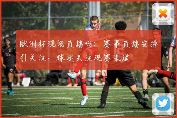 欧洲杯现场直播吗:赛事直播安排引关注,球迷关注观赛渠道