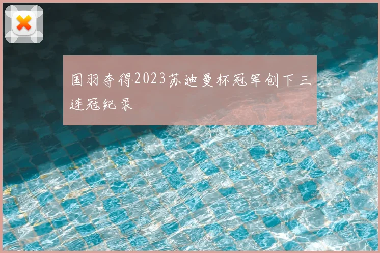 国羽夺得2023苏迪曼杯冠军创下三连冠纪录