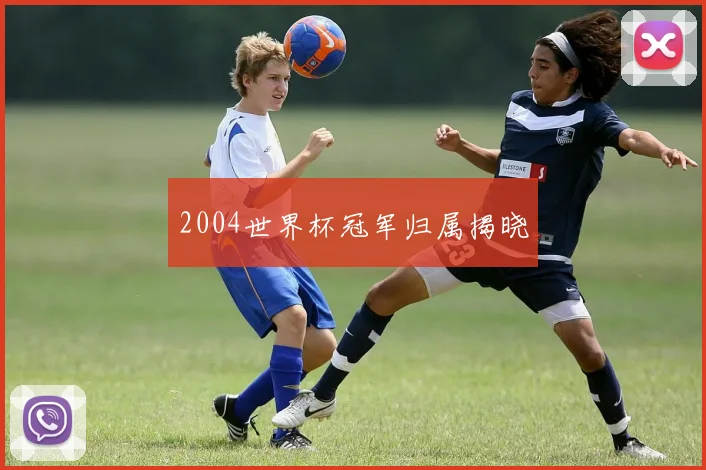 2004世界杯冠军归属揭晓