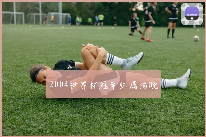 2004世界杯冠军归属揭晓
