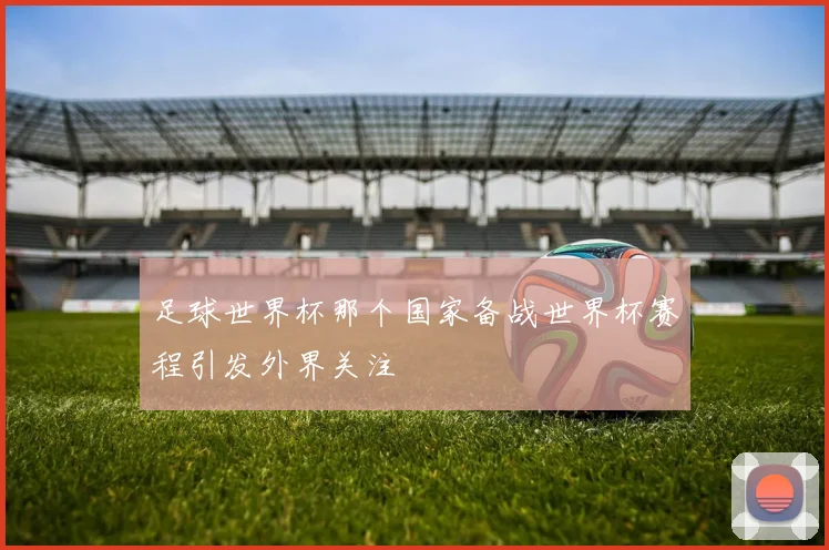 足球世界杯那个国家备战世界杯赛程引发外界关注