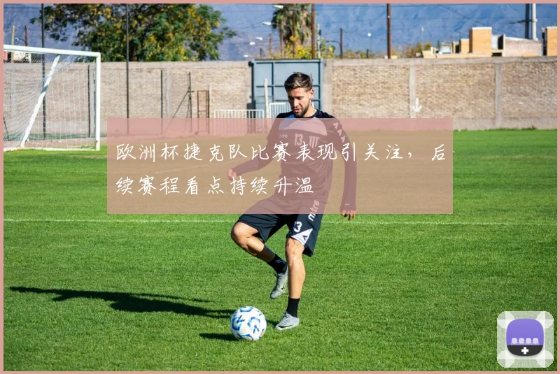 欧洲杯捷克队比赛表现引关注，后续赛程看点持续升温